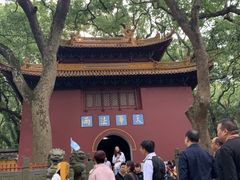 -普陀山风景名胜区-法雨禅寺