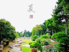 -中国唐苑