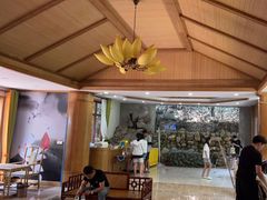 -将军关探险漂流