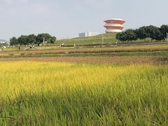 -光明小镇欢乐田园