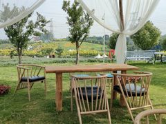 -紫颐香薰山谷景区