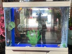 -名善山珍·野生菌汤锅(文殊院店)