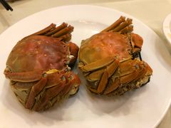 -王宝和酒家(黄浦店)