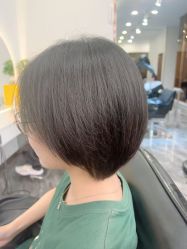 -YESIDO椰岛造型