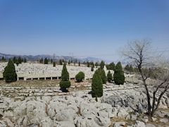 -原山国家森林公园