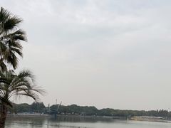 -渤公岛生态公园