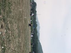 -风云岭森林公园