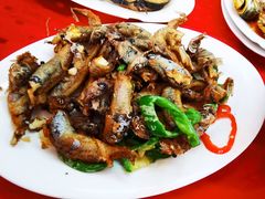 -蛇口康乐快餐鱼仔档(翠苑小区店)