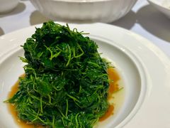 -洋洋中餐馆·SINCE 1997(信投店)
