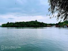 -西湖外事游船(花港观鱼码头)