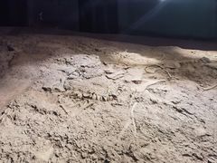 -世界恐龙谷景区