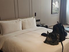 -西安大雁塔科技大学地铁站亚朵酒店