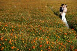 点击看大图 -MANLI BRIDAL婚纱