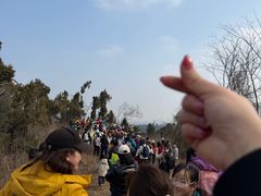 -青龙山国家森林公园