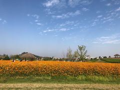 -径山花海