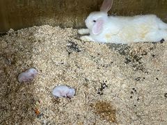 -上海大自然野生昆虫馆