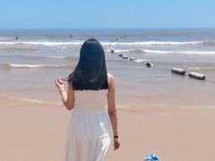 -日照海滨国家森林公园