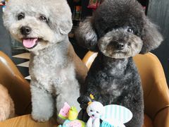 -Oh My Dog宠物沙龙(伊珊娜皮毛护理店)