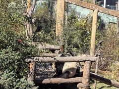 -青藏高原野生动物园