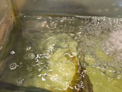 -鲜阁坊海鲜自助融合烤肉(银泰百货温州瓯海店)