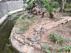-野象谷景区