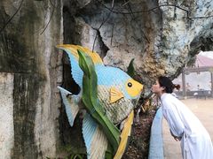 -金孔雀温泉旅游度假村