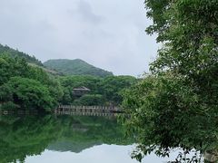 -白马涧龙池景区