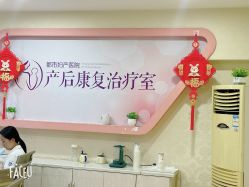 -武汉都市妇产医院
