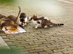 -苏州河梦清园环保主题公园