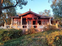 -上海市保健医疗中心