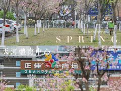 -天河体育中心