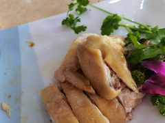 -墨脱石锅椰子鸡•香草鸭•东山羊(大东海店)