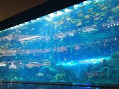 -成都浩海立方海洋公园