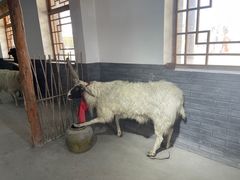 -河北村民俗体验园
