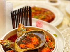 生腌蟹-人间采蜜(海信广场店)