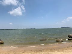 -瑶湖郊野森林公园