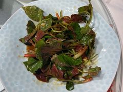 香拌折耳根-文杏酒楼(一品天下店)