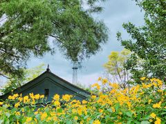 -野鸭湖国家湿地公园