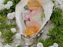 -Oyster Talks 四度蚝法餐厅