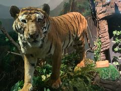 -陕西自然博物馆