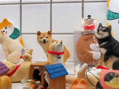 -柴务处·柴犬主题狗咖