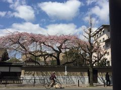 -京都御所