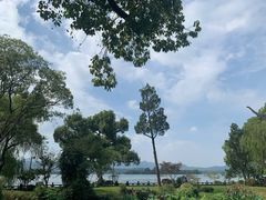 -杭州西湖柳莺里酒店