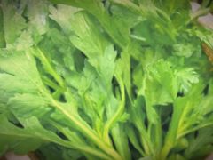 -尚品牛味汤锅火锅(康定总店)