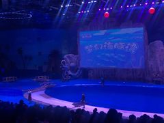 -华夏文旅海洋公园