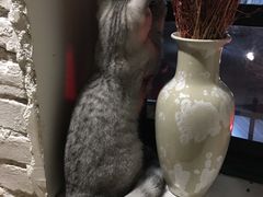 -不舍昼夜咖啡馆