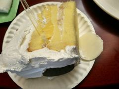 -向阳松鼠(恒大店)