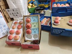 -老袁家蜜桃农场·阳山水蜜桃