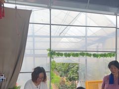 -马陆小张葡萄园农家乐