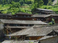 -林坑古村落